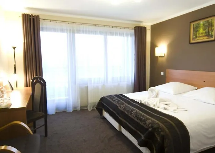 מלון Zimnik Luksus Natury & Wellness 4*