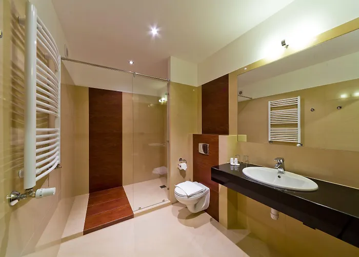 Zimnik Luksus Natury & Wellness 4*