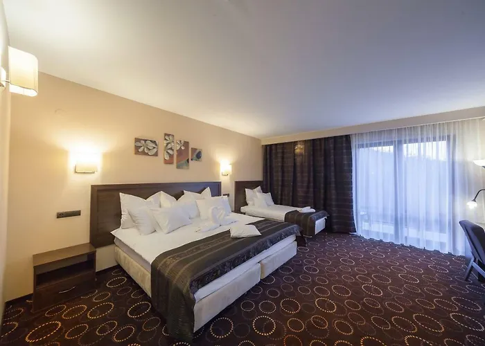 מלון Zimnik Luksus Natury & Wellness 4*